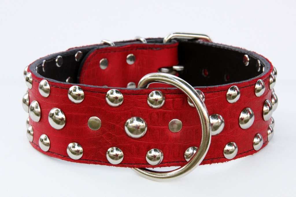 Leather gator dog collar with studs