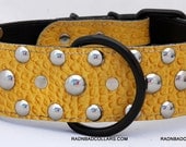 Yellow Gator Leather Dog Collar with studs (big dogs)