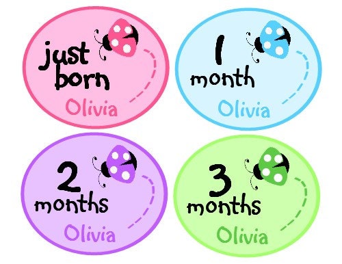 Personalized Monthly Onesie Stickers (Pastel Ladybug Love)-Includes Newborn, Large 12 Month, and Bonus Stickers - Baby Month Stickers