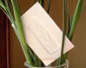 Handmade Cards - 3 Embossed Wild Iris Mini Cards with White Envelopes