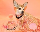 Dog Days of Summer Dog Dress