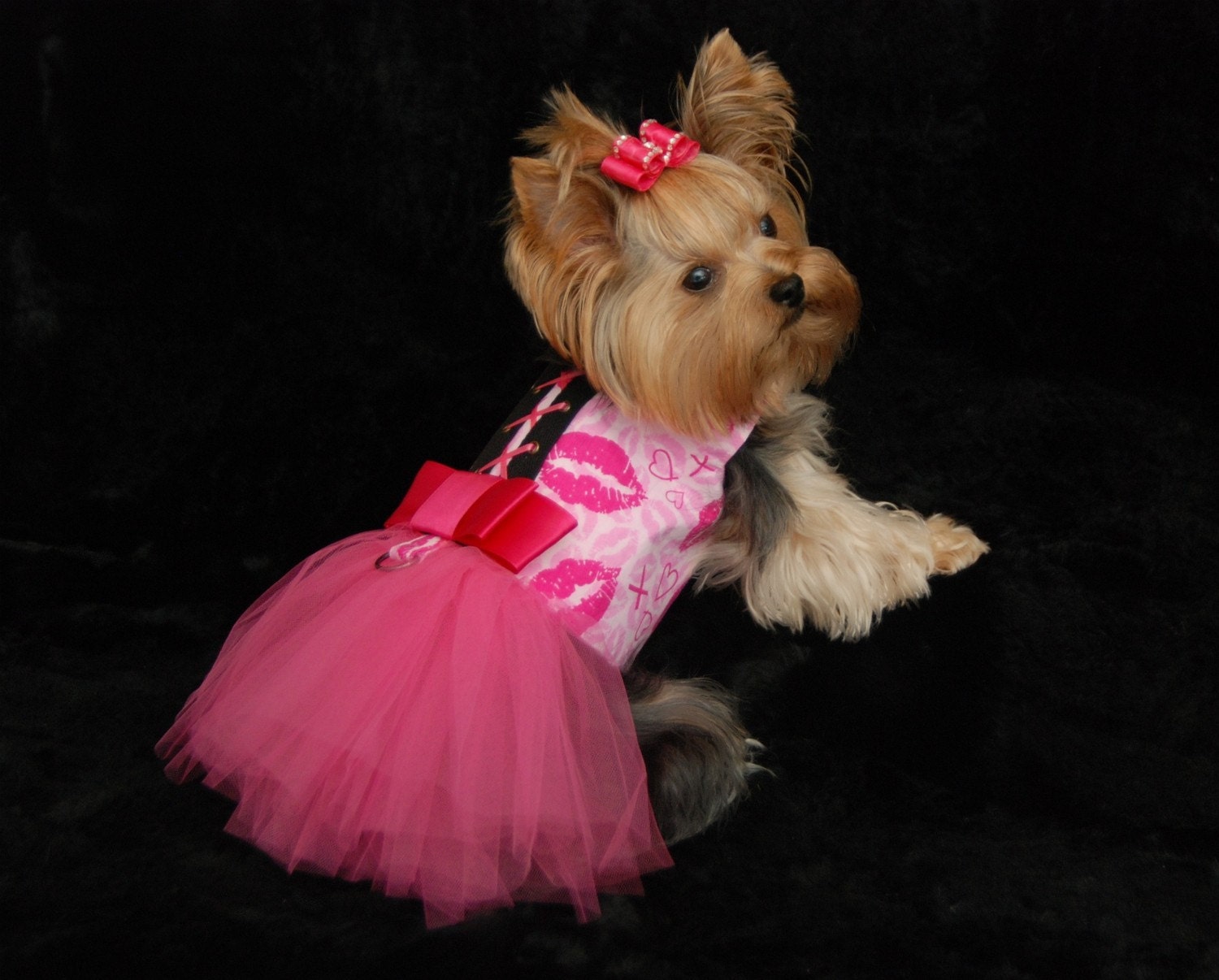 Pink Kisses Tutu Harness Dog Dress - Limited Edition