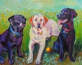 3 Labs (Labrador Retrievers) and a Ball