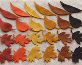 Oktoberfest - Leaf Medley - 48 Die Cut Felt Shapes