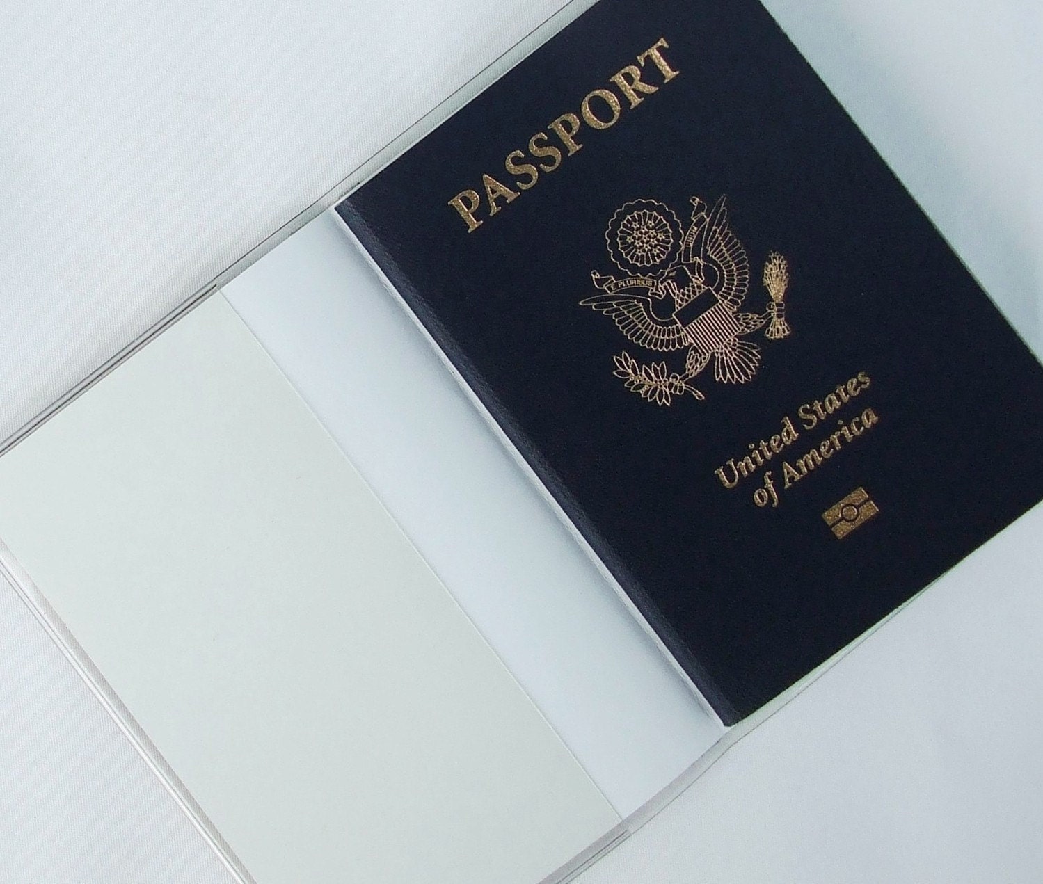 MAP PASSPORT COVER Vintage Olde World Map