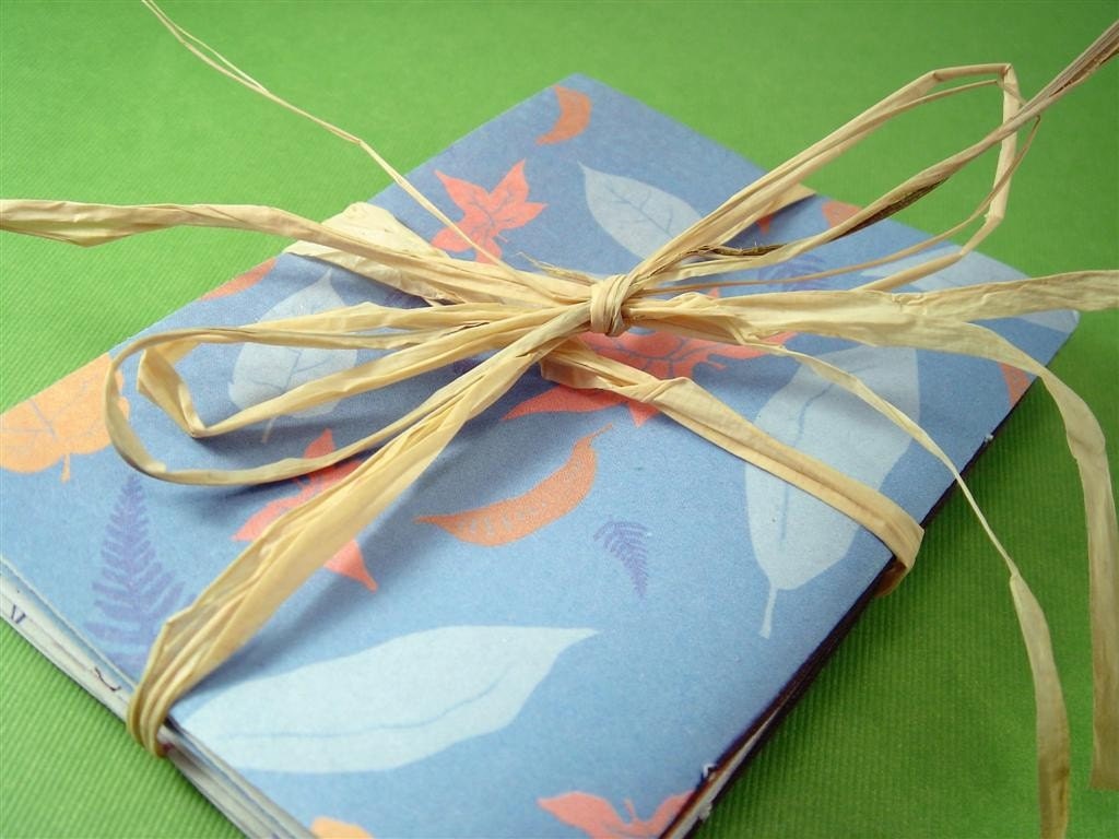 Cool Outdoors MINI NOTEBOOKS - set of 3