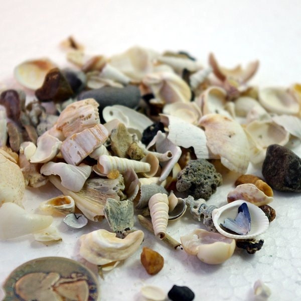 Bag of Tiny Beach Shells Stones Driftwood Glass Lava Clay