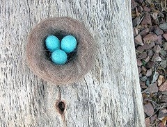 Perfect Robins Nest