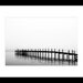 Morning Light 24X36 Canvas Wrap