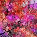 Art photography nature, stars, spring flowers, sunrise sunburst, bridge, water, pink, purple, pastel colors, 16x20"