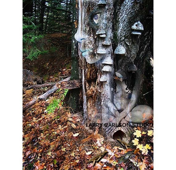 Deep Woods Secret Base...16x20 matted fine art photograph collage / giclee print