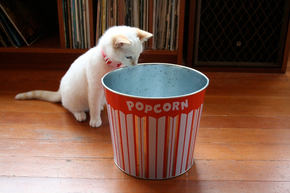 Popcorn Pack