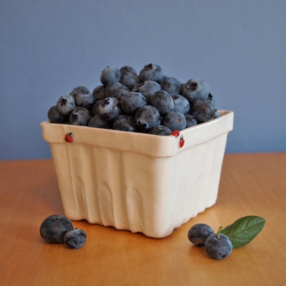 sweet berry basket with ladybugs