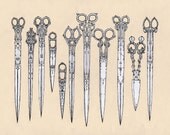 KUEDO SEVERANT Scissors / Giclee print (MEDIUM 18.5" x 16" / 47cm x 40cm) Limited Edition. Signed. Archival.