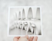Just like forever  5 x 5 -  8 x 8  fine art photography print