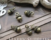 20Pcs Nickel Free - High Quality  Antiqued Vintage Bronze Acorn Charms / Pendant (ZG120)