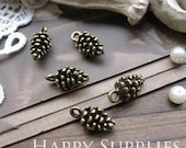 20Pcs Nickel Free - High Quality  Antiqued Vintage Bronze Pineal Charms / Pendant (ZG123)
