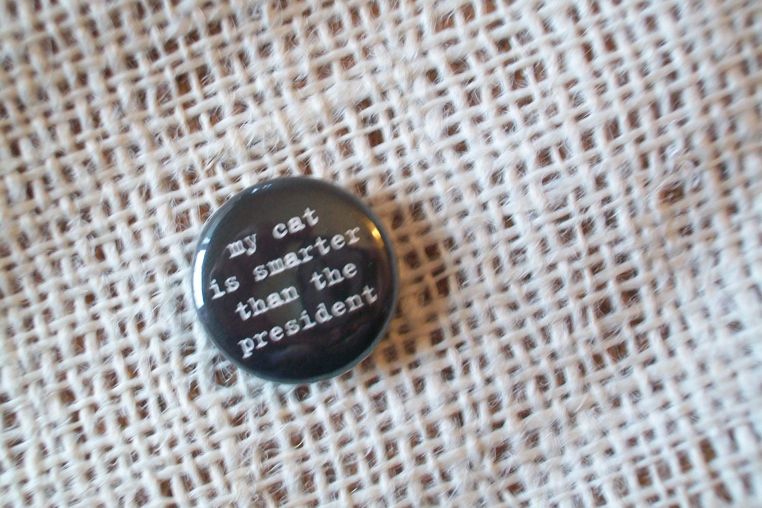 Cat Lover Magnets- My Cat Is Smarter Than The President - 99 each