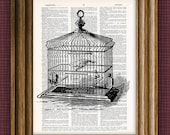 Vintage DICTIONARY Art Print - antique birdcage
