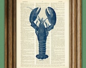 BLUE LOBSTER art print beautifully upcycled vintage dictionary page book art print