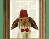Fraternal Lop BUNNY RABBIT with tassled FEZ and a bow tie illustration beautifully upcycled dictionary page book art print