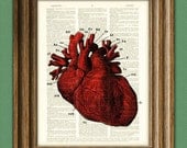 It's a RED HUMAN HEART diagram beautifully upcycled dictionary page book art print