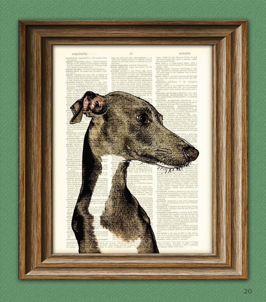 Italian Greyhound dog beautifully upcycled vintage dictionary page book art print