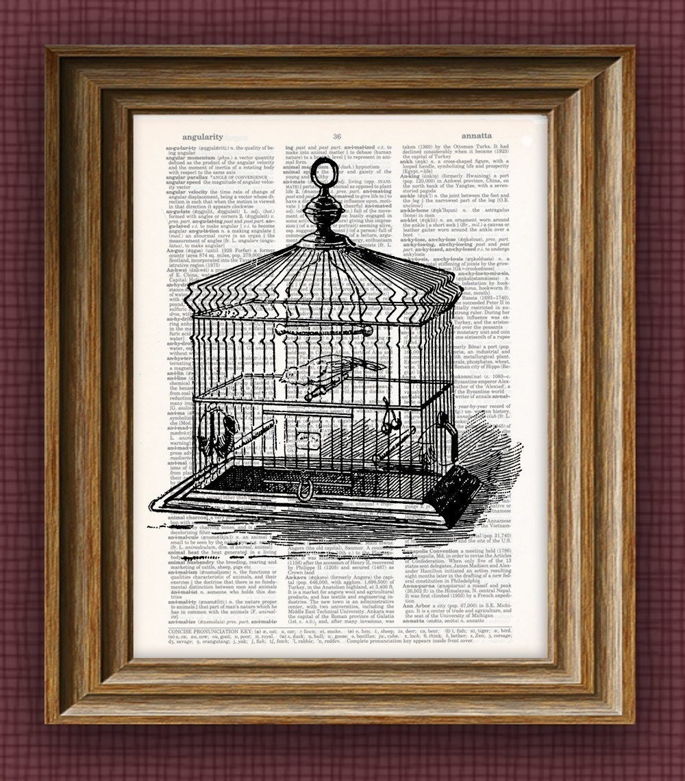 Vintage DICTIONARY Art Print - antique birdcage