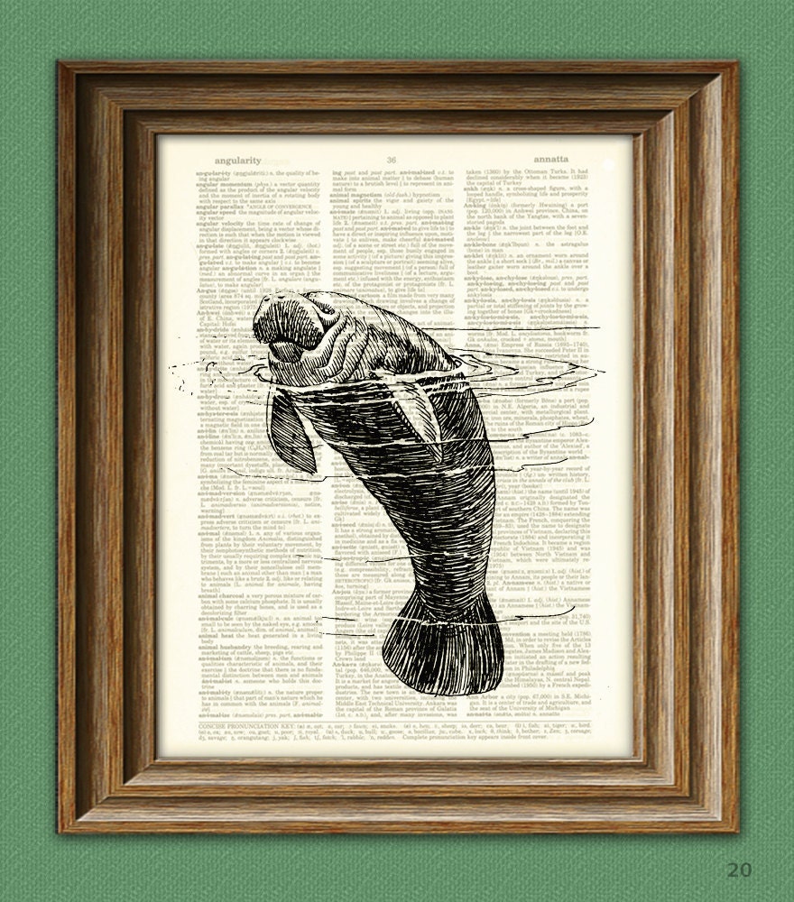 Manatee Art Print altered art on a vintage dictionary page illustration book print