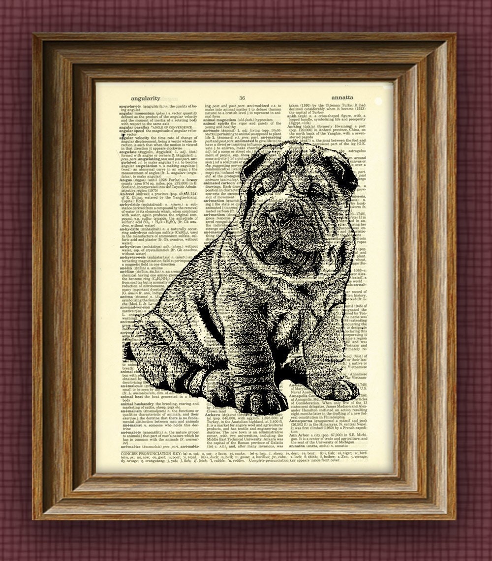 SHAR PEI dog beautifully upcycled vintage dictionary page book art print