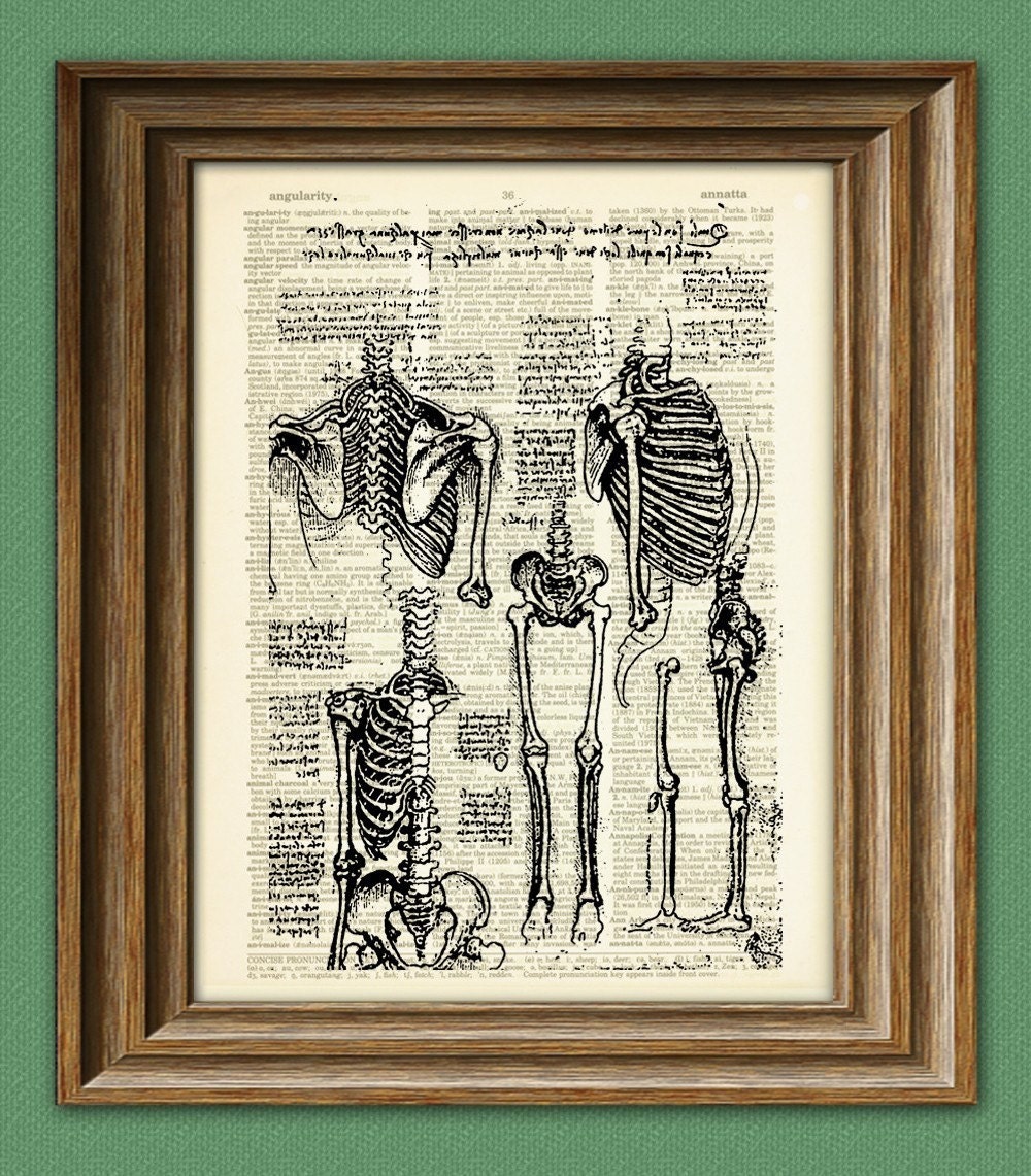 Science Art Print Study of the Human Skeleton from Leonardo DaVinci sketch on vintage dictionary page book art print Da vinci