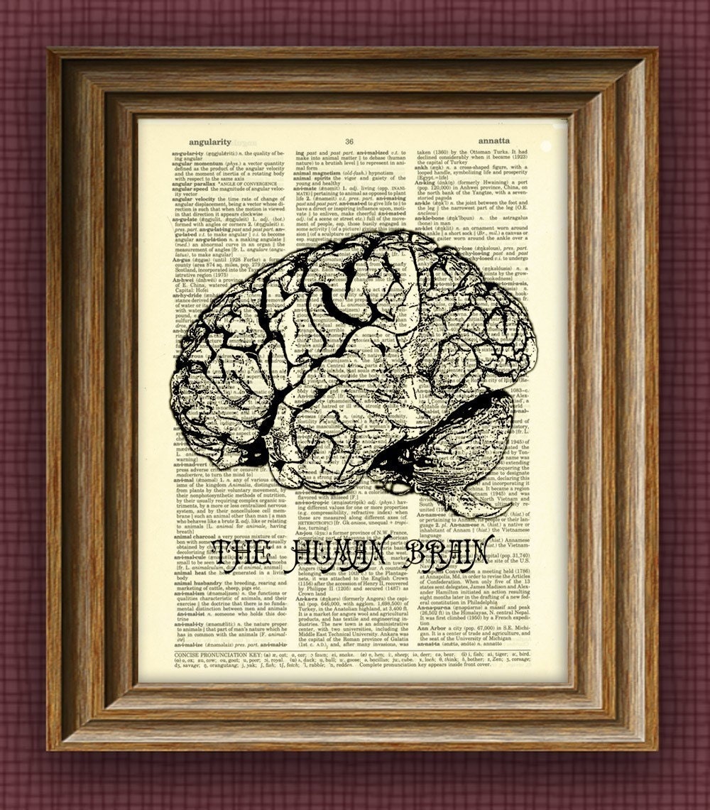 HUMAN BRAIN Art Print beautifully upcycled vintage dictionary page book art print