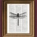 DRAGONFLY beautifully upcycled vintage dictionary page book art print