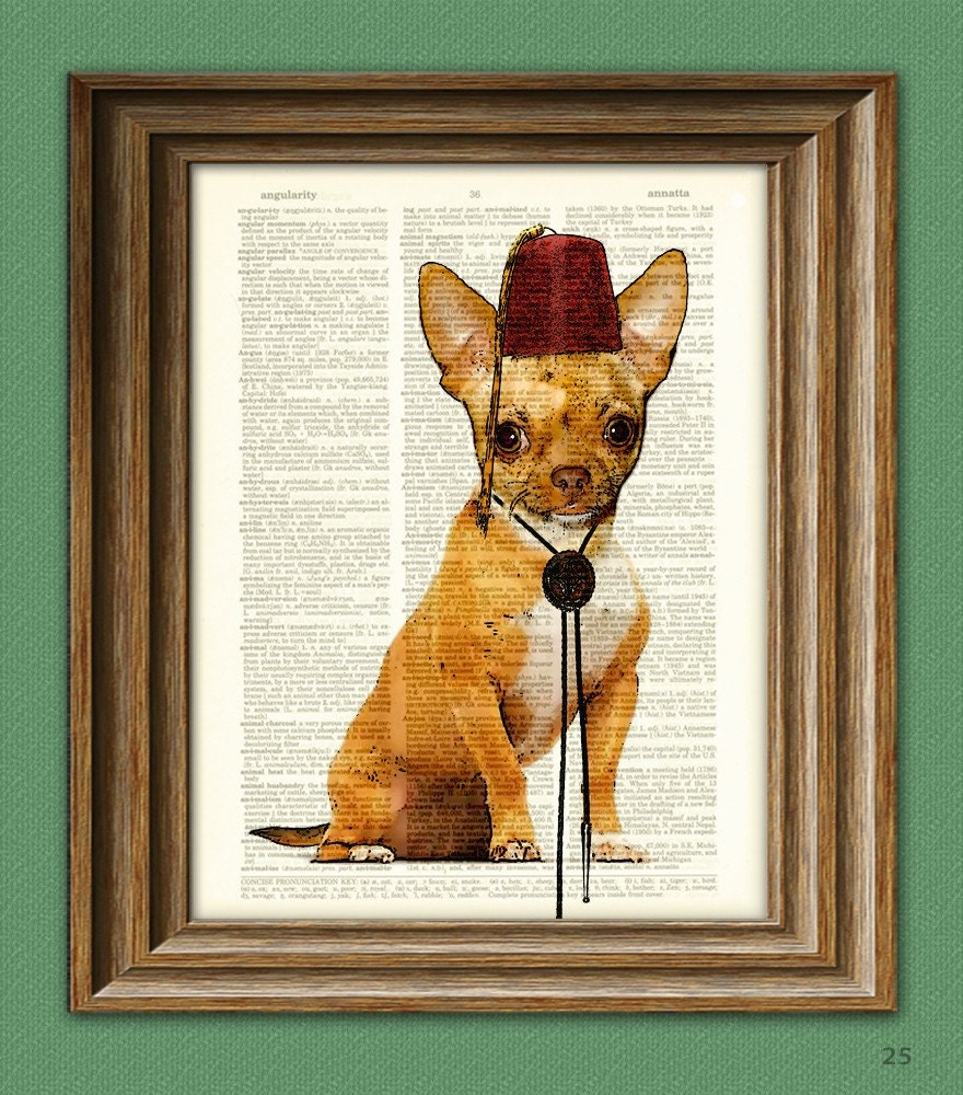 Tiny Tom Teacup CHIHUAHUA dog with tassled FEZ and a bolo tie illustration beautifully upcycled dictionary page book art print