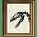 EEEK Velociraptor dinosaur skeleton skull beautifully upcycled history animal dictionary page book art print