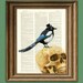 Bird Magpie Gothic Art Print Guv'nor Godfrey Gothic MAGPIE with hat and monocle on a skull dictionary page illustration book print