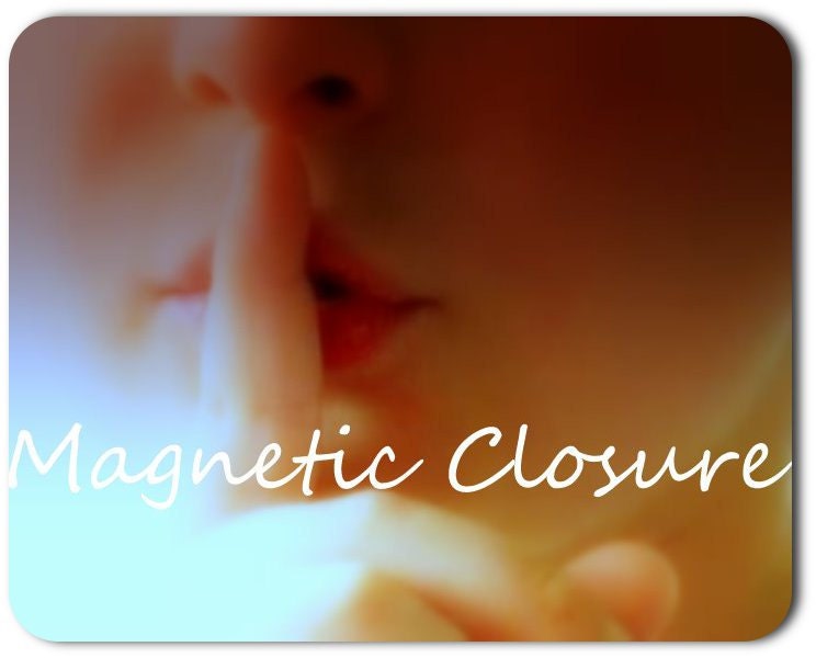Hollow Book Safe MINI Book (DREAMS)