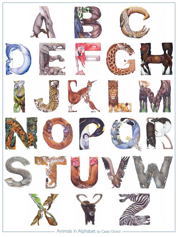 Animals in Alphabet - Poster 18 x 24 - Casey G.