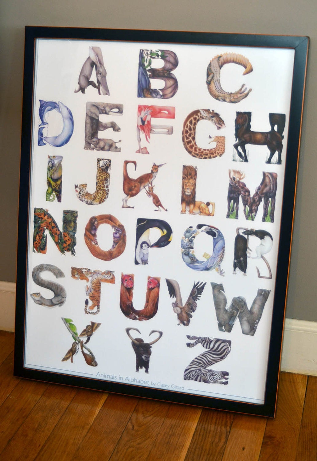 Animals in Alphabet - Poster 18 x 24 - Casey G.