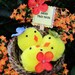 Chickie Kid Kit