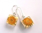 Daisy Resin Earrings.  Real Flower Resin Earrings. Yellow Pressed Flower Earrings.  Handmade Jewelry with Real Flowers -  Daisy