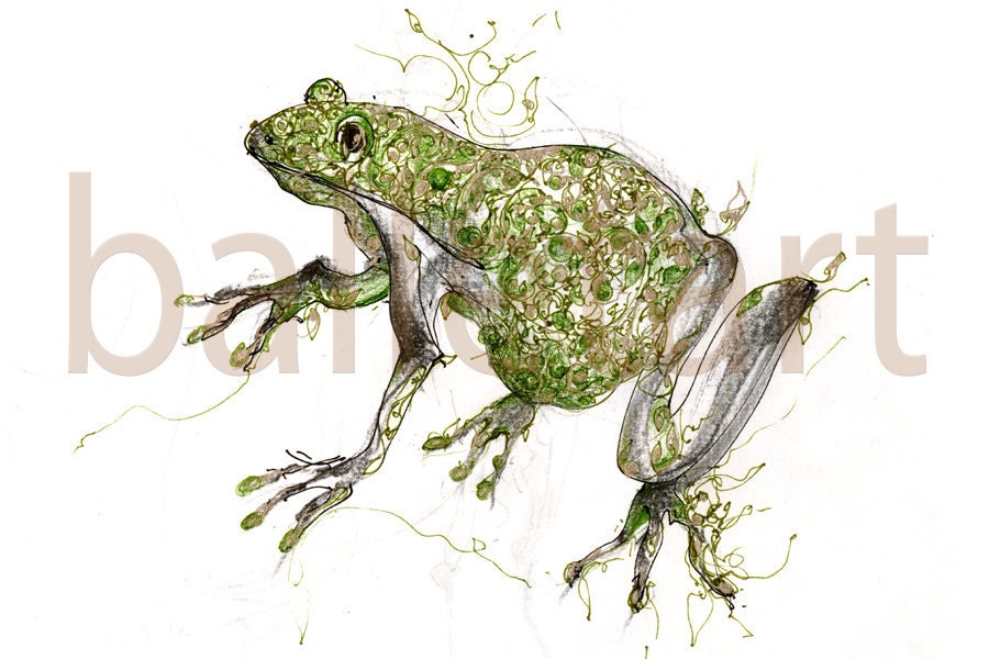 eco frog or lucky green plant frog - drawing - wall art
