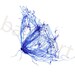 cobalt blue butterfly drawing
