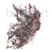 black night butterfly or twilight- drawing