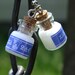 Miniature Legend of Zelda Lon Lon Milk Bottle Earrings