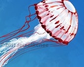 Jelly Fish Art Print - Blue Maroon White Aquatic Art - Watercolor Inspired 11x14 inch Print