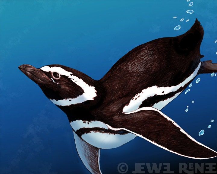 Penguin Art Print  - 11x14" Print  - Teal black White Aquatic Art - Watercolor Inspired