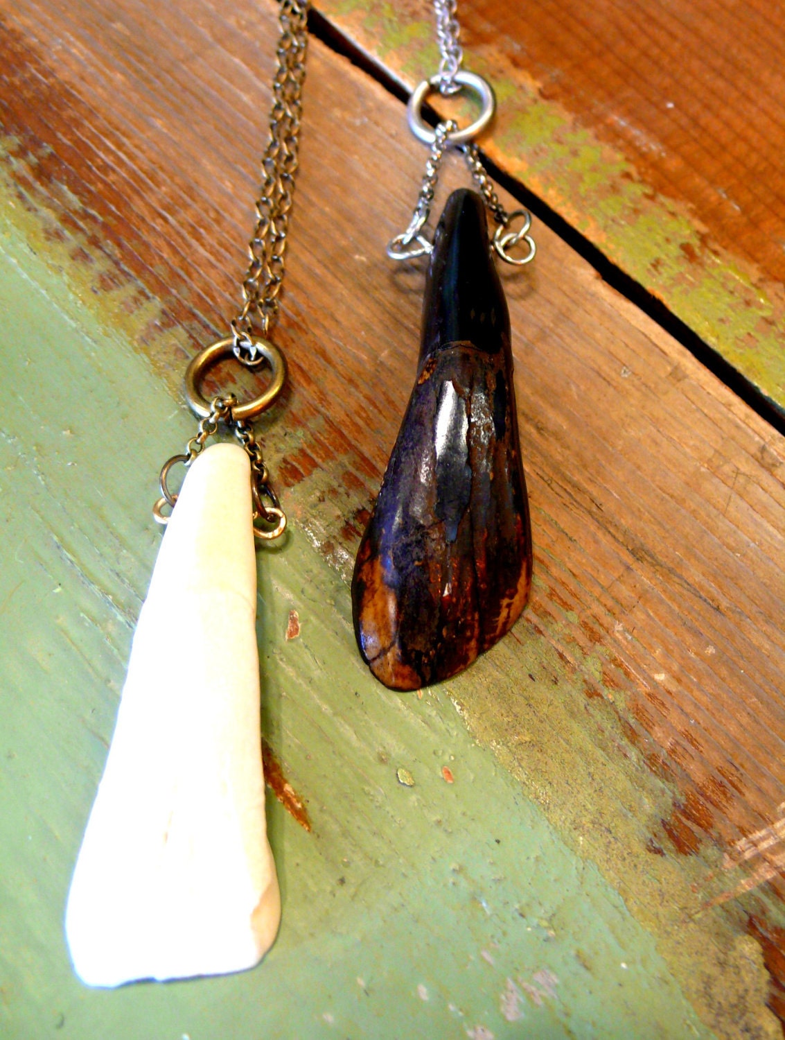buffalo tooth necklace in white or tea stained. silver or antique gold chain.