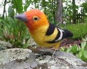 Mr. Western Tanager, needle felted bird sculpture