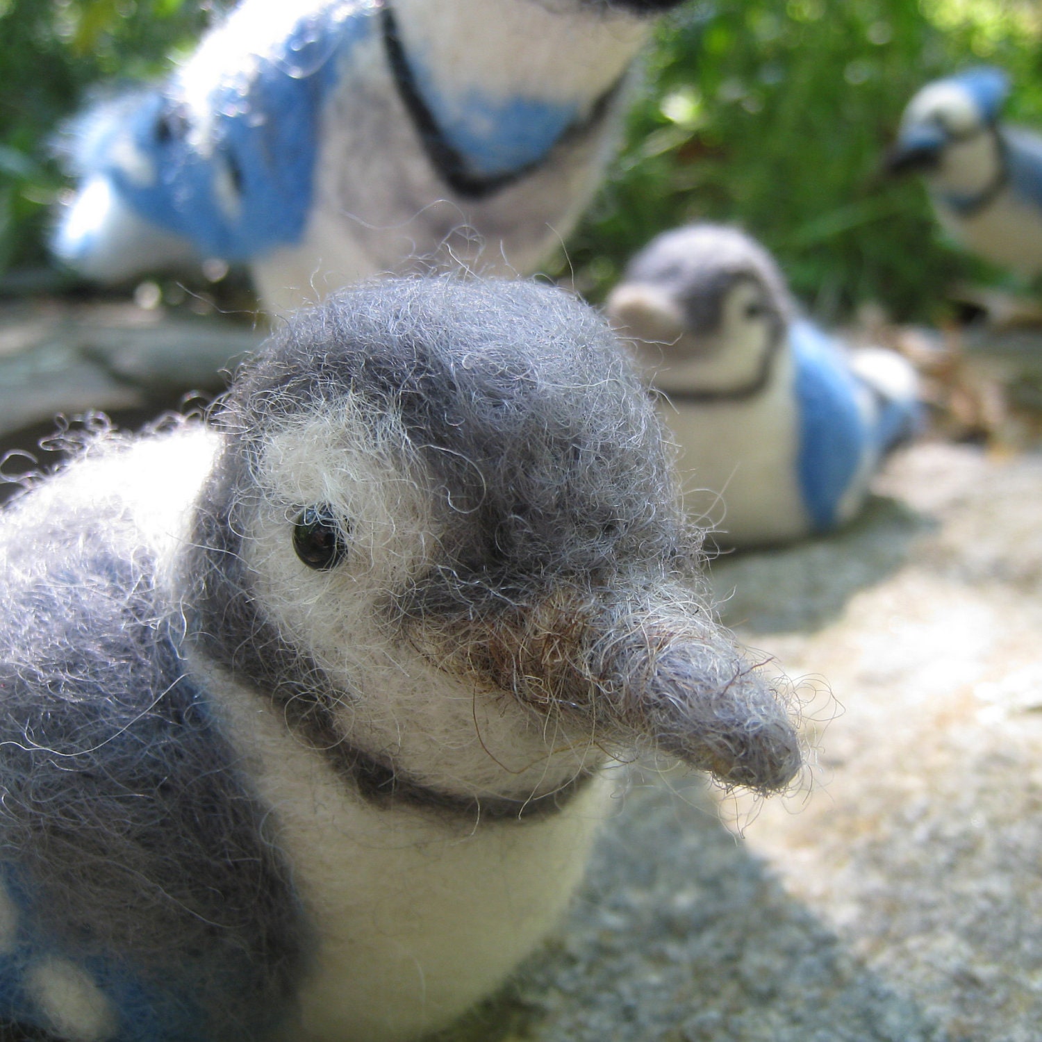 Blue Jay family, needle felted birds, wool sculpture